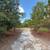 Land 26.34 acres - 687 White Pond Rd - $235,000 5 thumbnail