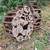 Grouser Skid Steer Tracks,12x16.5 off of a BC S300 1 thumbnail