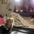 Female Tabby Kitten 1 thumbnail