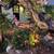 Whimsical Cottage  Furnished 3 bed 3ba by the  Month up to 6 months  10/17/25 6 thumbnail