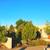 Beautiful Custom Home In the Crestview Area Of Los Lunas! 21 thumbnail