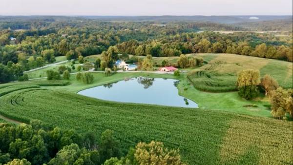 Indiana Exclusive Deer lease 160 acres 1