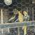 Parakeet and Cockatiel rehoming 2 thumbnail