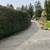 Yard Work, Trim, Bark, Clean up, retaining wall, paver 7 thumbnail
