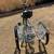 Veneto adult trike 4 thumbnail
