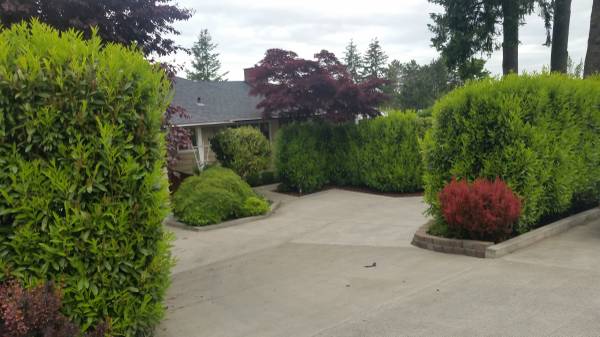 $2,500 / 2br - 2 bedroom 2 bath in quiet setting, all utilities paid, except cable/ph (puget)63509649958017121