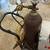 Hobart mig welder 3 thumbnail