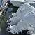 BOAT DETAIL/BOTTOM PAINT 203-818-0187 10 thumbnail