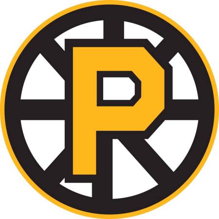 1 Providence Bruins hockey ticket for FRI 11/21 night game 1