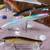 Seven (7) New Floating-Sinking-Suspended Fishing Lures --L-#51 7 thumbnail