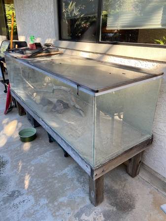 terrarium 1
