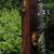 Hall Tree 2 thumbnail