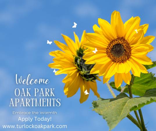 Apply For Unit B141! 1