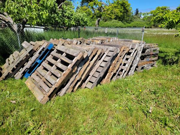 Pallets 1