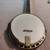 Awesome Recording King RK 76 Elite Hearts and Flowers banjo 14 thumbnail