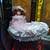 Decorative Wicker Pram (Buggy, Stroller)with Porcelain doll 11 thumbnail
