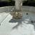 Irrigation and Pool Pumps 9 thumbnail