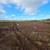 Bulldozing, Excavation, Land Clearing Services 🚜 6 thumbnail