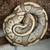 Ball Python Mojave Cinn 1 thumbnail