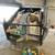 Dumpster Bin Rental (Trash Dumpsters) & Junk Removal Services 9 thumbnail