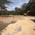 Land clearing underbrushing 5 thumbnail