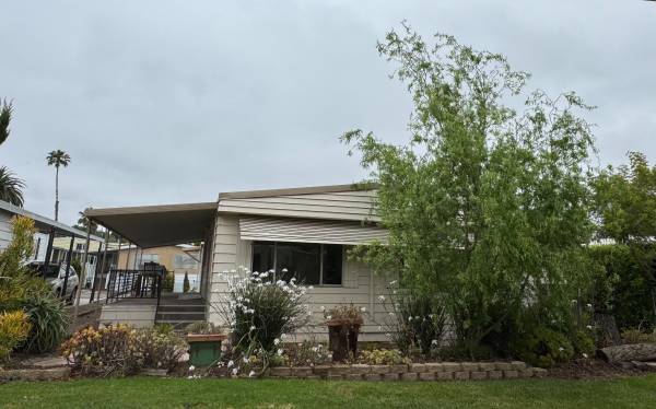 $329,000 / 2br - 1440ft2 - 2-Dormitorios 2-Baños - 1,440sf  - CASA MÓVIL - SIN RENTA DE ESPACIO 55+ Piscina/Baño de Hidromasaje/Gimnasio (SAN MARCOS)63845976956673122