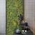 Moss walls moss art 4 thumbnail
