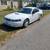 2002 Ford Mustang Coupe 86k original miles 1 thumbnail