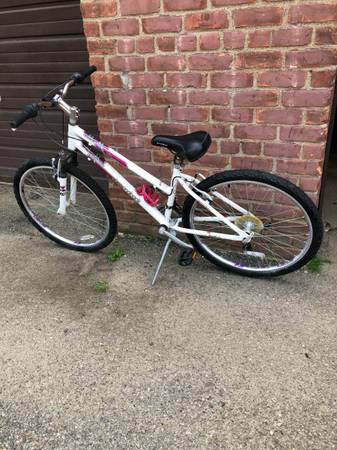 Diamond Back Lustre 1