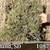 Online, Video, Hay Auctions every Wednesday 8 thumbnail