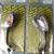 EMGO 20-69791 Mirrors R & L  Black 1 thumbnail