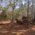 *Land clearing~Forestry mulching* 9 thumbnail