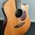 Breedlove Atlas AD25/SM 6-string Acoustic Guitar (with HARDCASE) 2 thumbnail