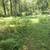 23 acre paradise for sale 10 thumbnail
