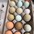 Hatching Eggs 2 thumbnail