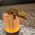 Fully Equipped 18×18×24 Exo Terra Crested Gecko Setup + Gecko 4 thumbnail