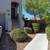 LANDSCAPING YARD CLEAN UPS AND TREE TRIMMING AVAILABLE IN ALL LASVEGAS 6 thumbnail