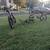 I have four bicycles for sale mountain bike twelve speed and a junior with  trai 1 thumbnail