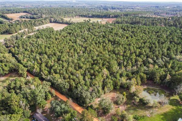 $99,000 9.5 Acres Boscosos en Chipley, FL - Alto y Seco, Tranquilo y Listo para Ti (Chipley)64193708813313124