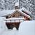Cabin close to Sugar Bowl Ski Resort 1 thumbnail