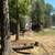 PROFESSIONAL LANDSCAPING & YARD CARE 5 thumbnail