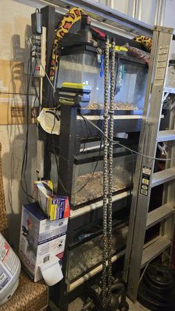 soporte para tanques de acuario de 3 niveles y 20 galones con electricidad (Pensacola)63836589852417120
