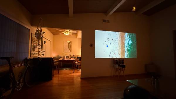 $1,200 / 2br - 1050ft2 - master bedroom/private garage in 2br 1ba in downtown walnut creek. (walnut creek)63880017150209122