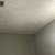 Professional painter 18 thumbnail