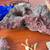 Python No Spill Clean & Fill Aquarium Maintenance System+Fish Tank Dec 15 thumbnail