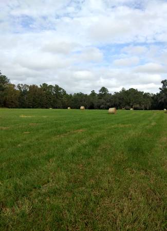 $1499.00 / 1br - Near WEC World Equestrian Center 1br 1ba private apartment HORSES & PE63693502250115123