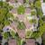 4/BD 2/BA, Located in Chico, Basketball and BBQ Grill Area 4 thumbnail
