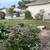 Tree Service 14 thumbnail