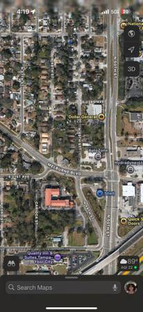 Missing dog!! (Tampa)64306208961538123