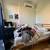 PRIME WILLIAMSBURG 4BR 2BA AMAZING LOCATION DONT MISS OUT CALL ME ASAP 2 thumbnail